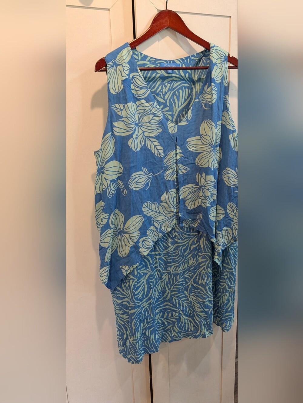 Blueginger Rayon Dress